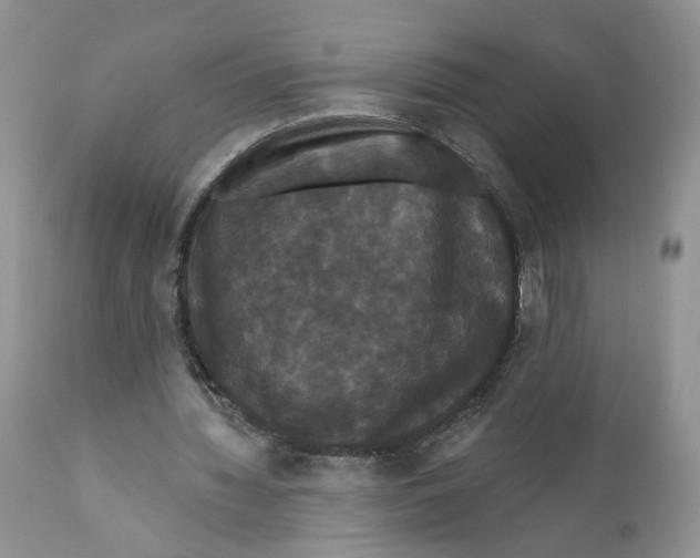 X0000111910436200908241030