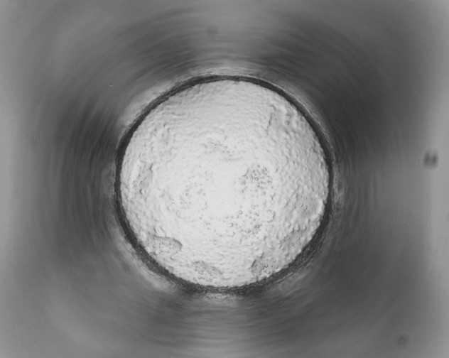 X0000111910437200908241030