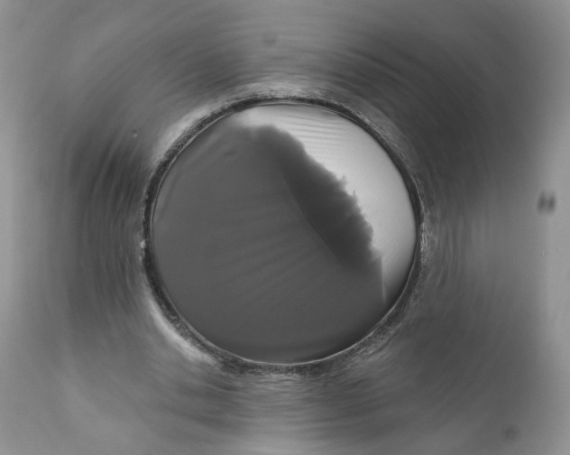 X0000111910438200908241030