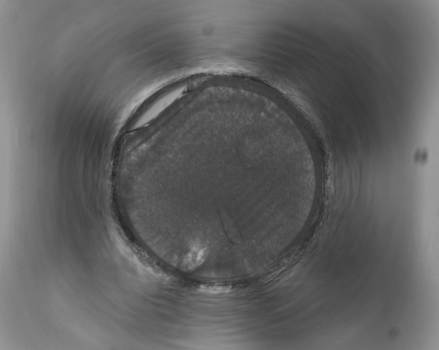 X0000111910440200908241030