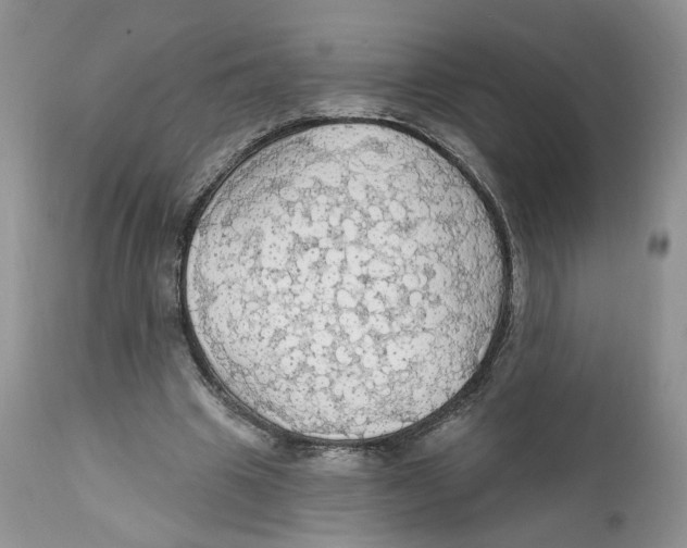 X0000111910441200908241030
