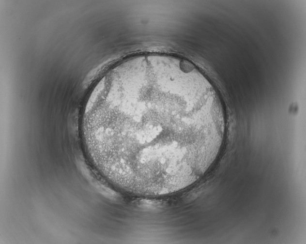 X0000111910442200908241030