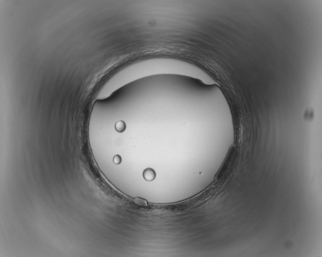 X0000111910444200908241030