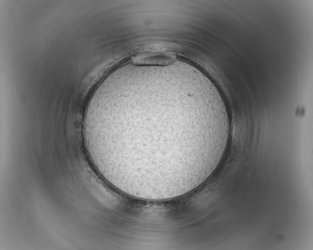 X0000111910445200908241030