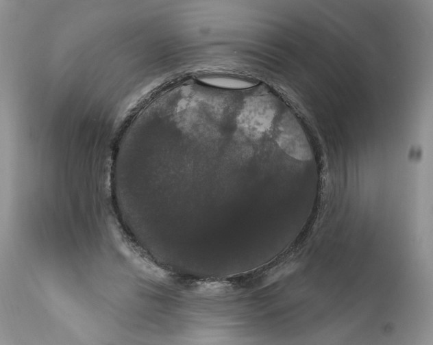 X0000111910446200908241030