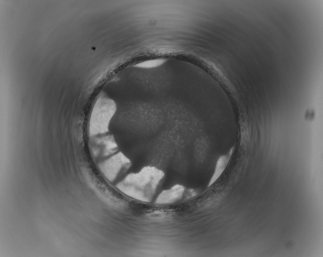 X0000111910447200908241030