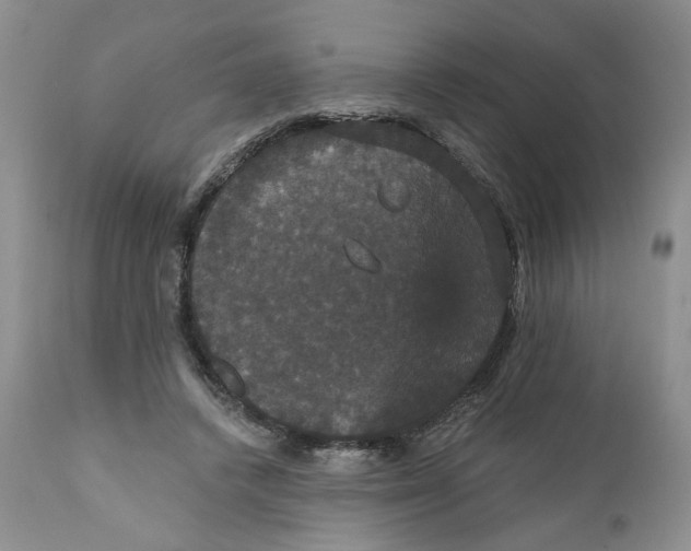 X0000111910448200908241030