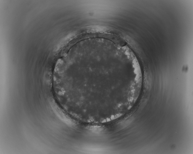 X0000111910449200908241030