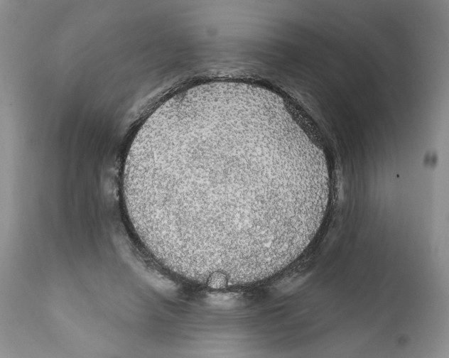 X0000111910450200908241030