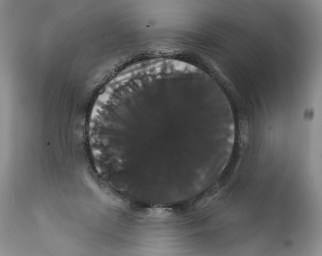 X0000111910451200908241030
