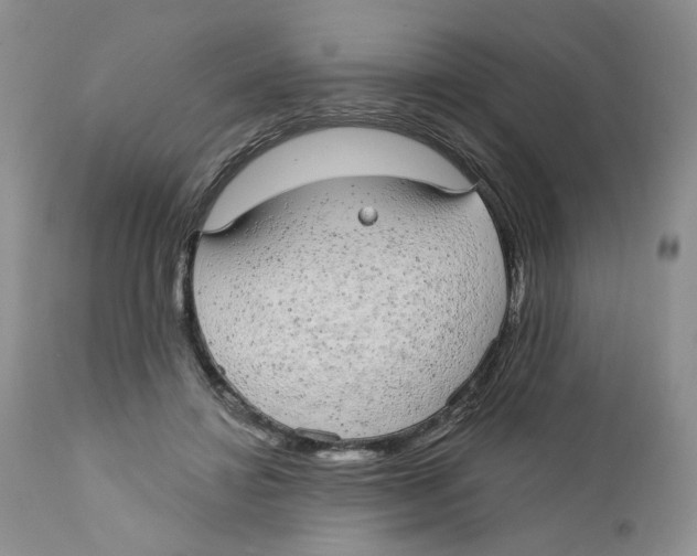 X0000111910452200908241030