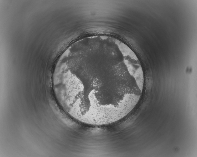 X0000111910453200908241030