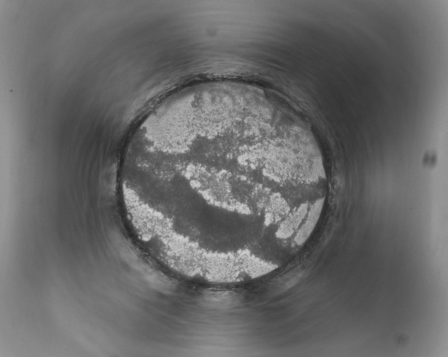 X0000111910454200908241030