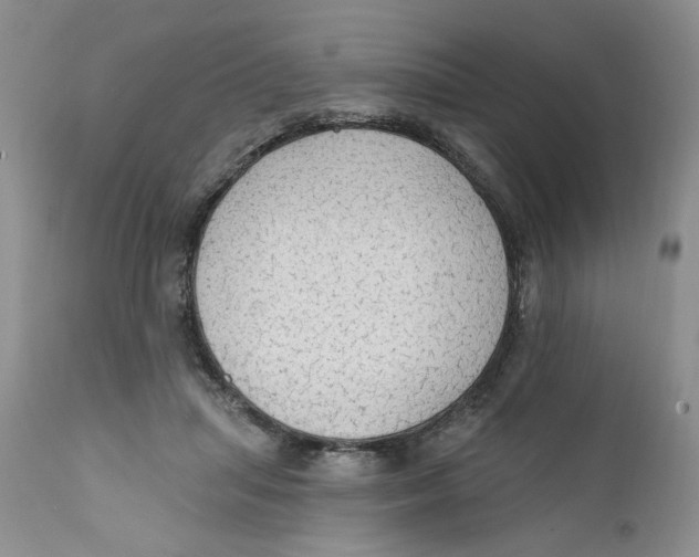 X0000111910455200908241030