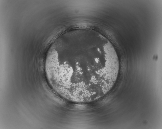 X0000111910457200908241030