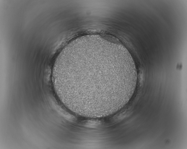 X0000111910458200908241031