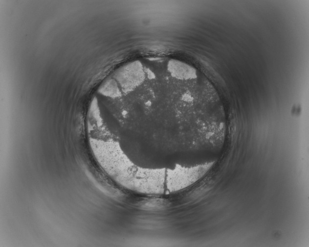 X0000111910459200908241031