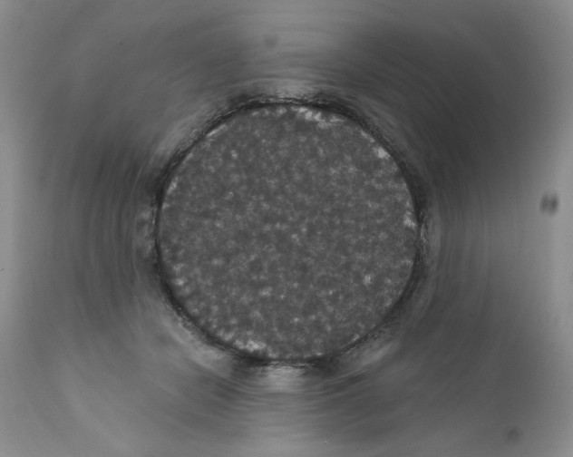 X0000111910462200908241031