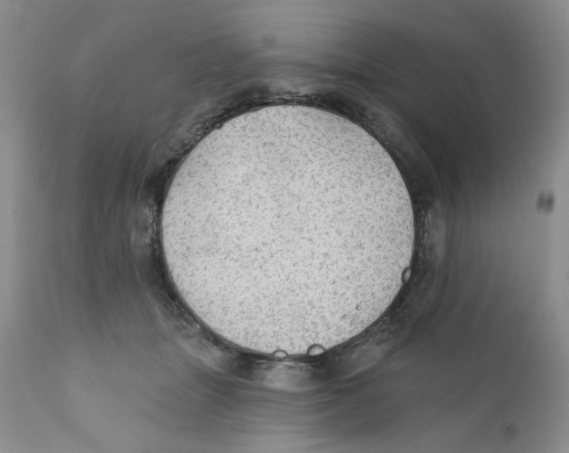 X0000111910463200908241031