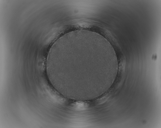 X0000111910464200908241031
