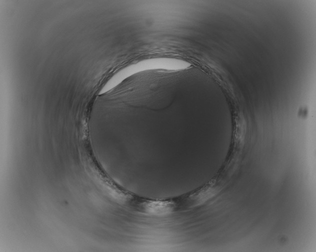 X0000111910465200908241031