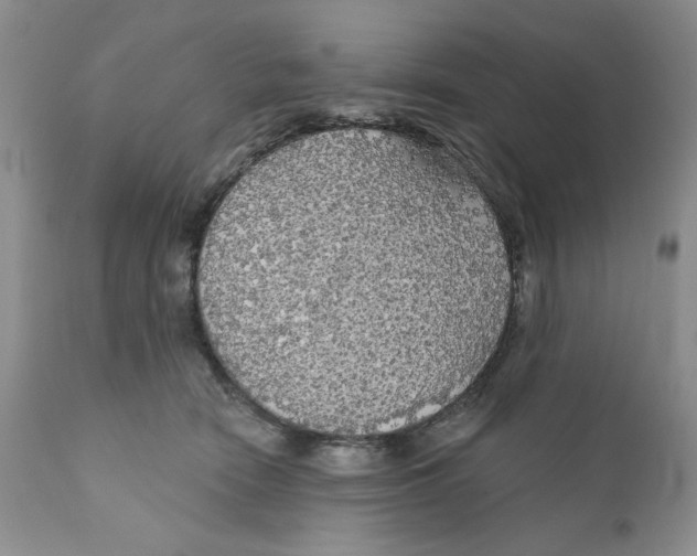 X0000111910466200908241031