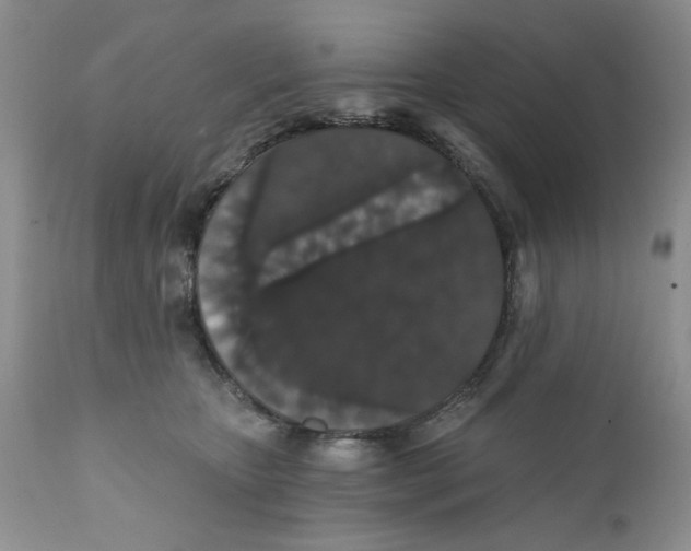 X0000111910467200908241031