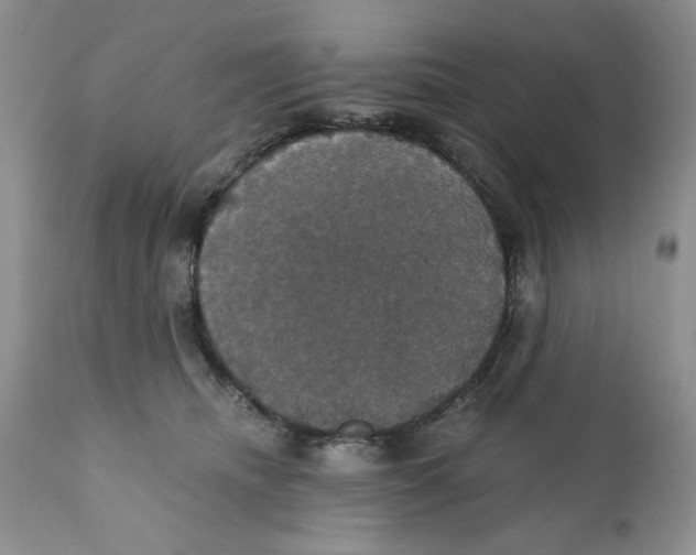 X0000111910468200908241031