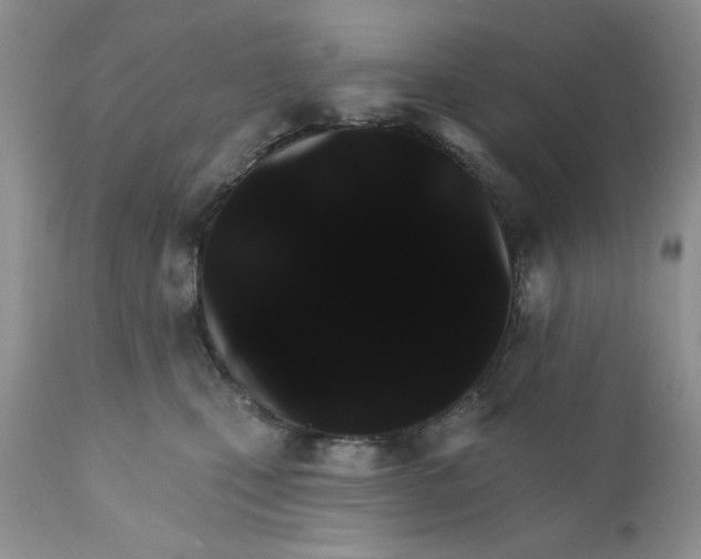 X0000111910471200908241031