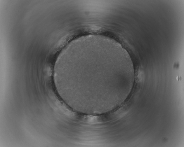 X0000111910472200908241031