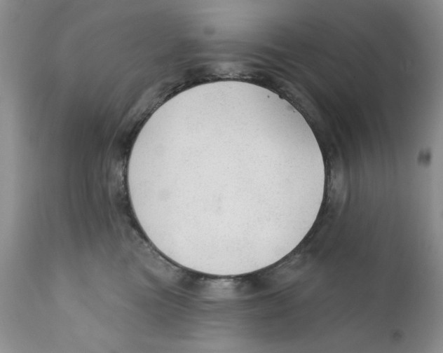 X0000111910473200908241031