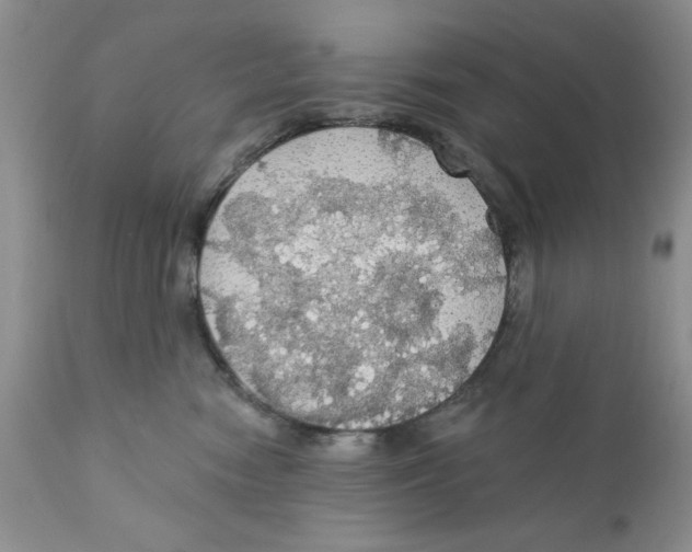 X0000111910474200908241031