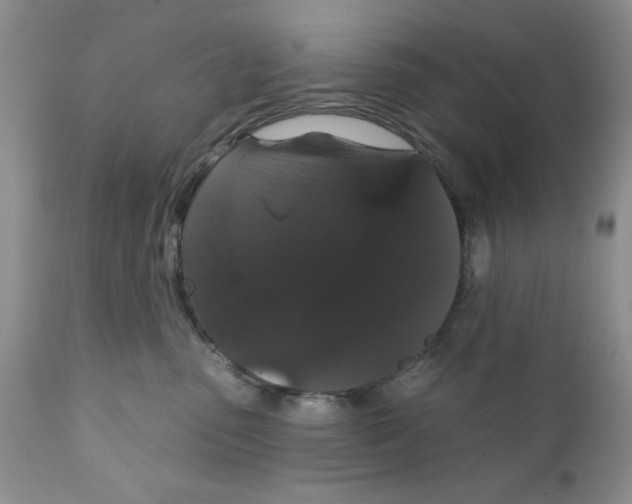 X0000111910475200908241031