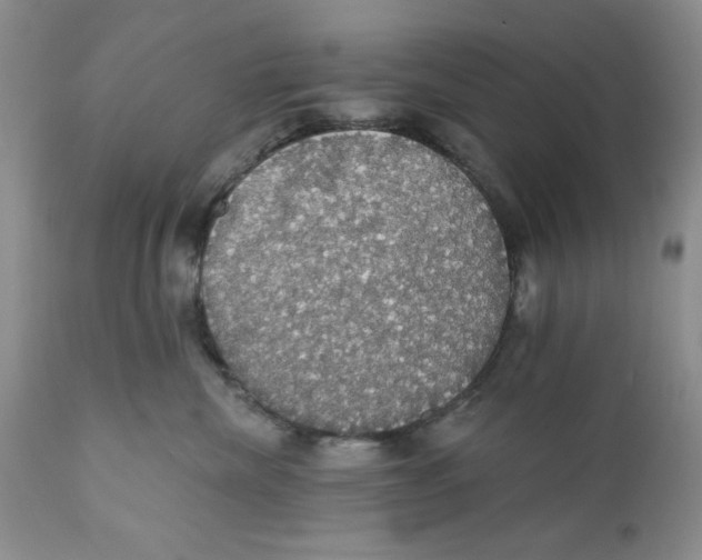 X0000111910476200908241031