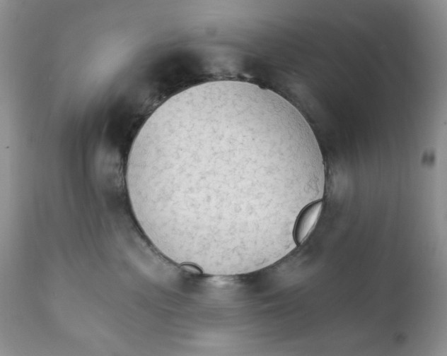 X0000111910477200908241031