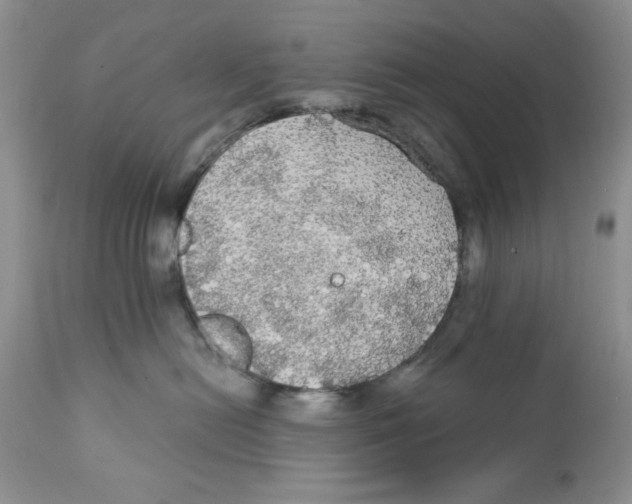 X0000111910478200908241031