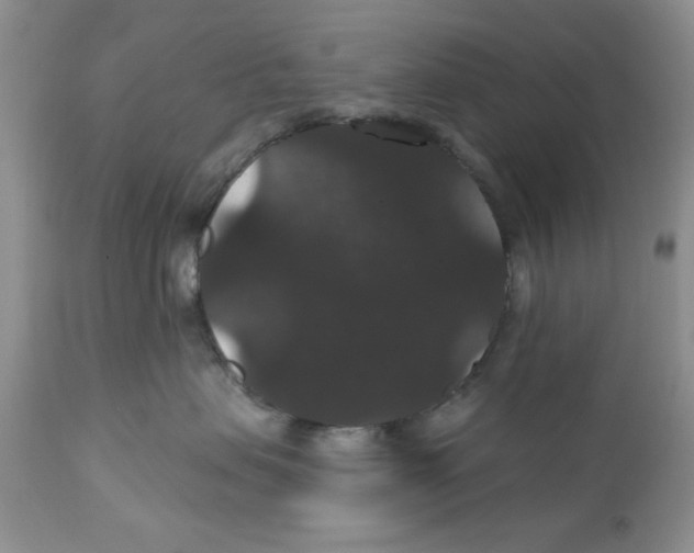 X0000111910479200908241031