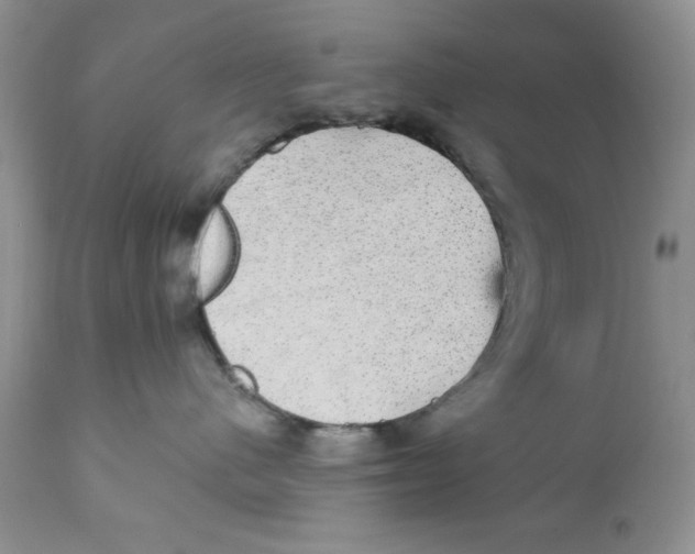 X0000111910480200908241031