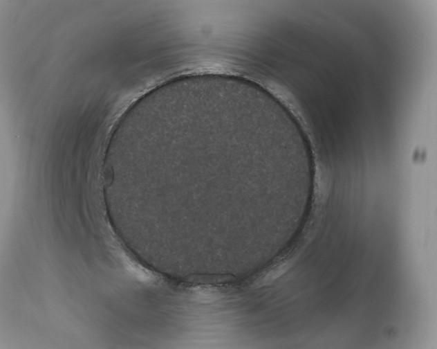 X0000111910481200908241030