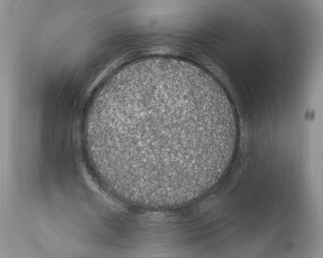 X0000111910482200908241030