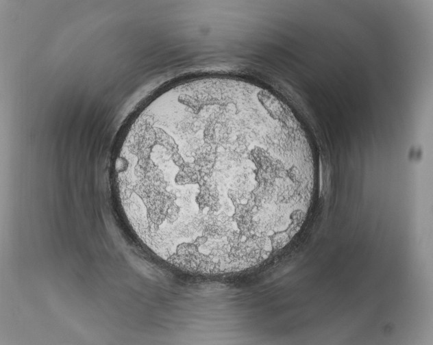 X0000111910483200908241030