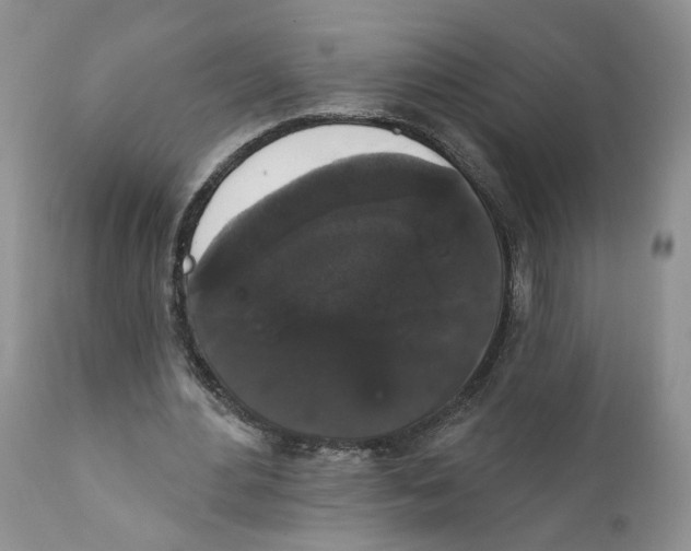 X0000111910484200908241030