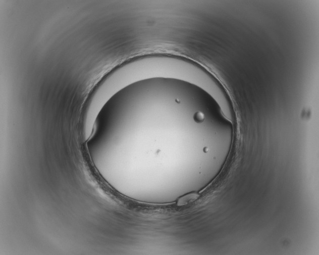 X0000111910485200908241030