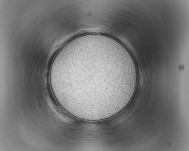 X0000111910486200908241030