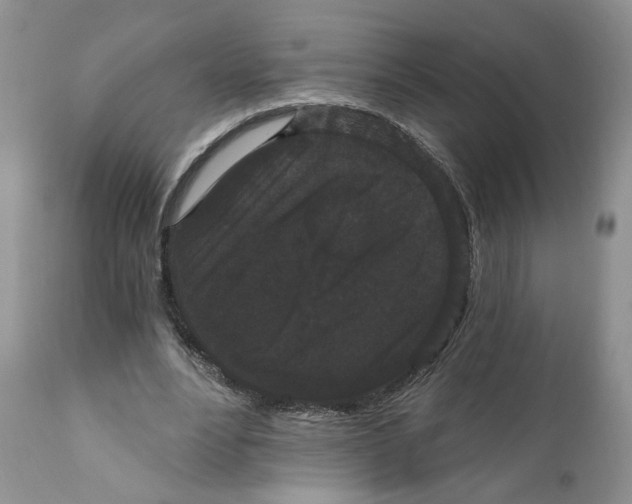 X0000111910488200908241030