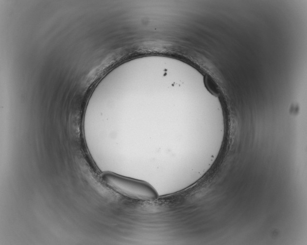 X0000111910489200908241030