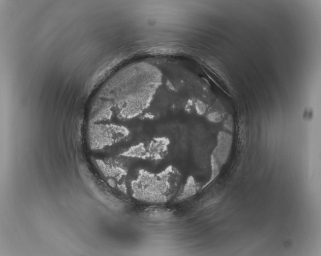 X0000111910491200908241030