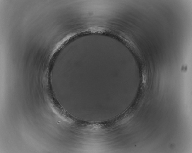 X0000111910492200908241030