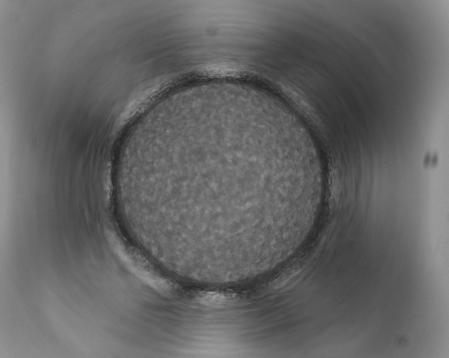 X0000111910494200908241030