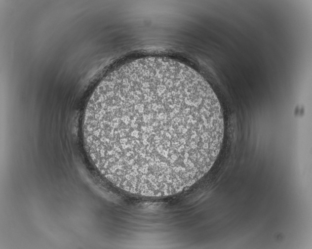 X0000111910495200908241030